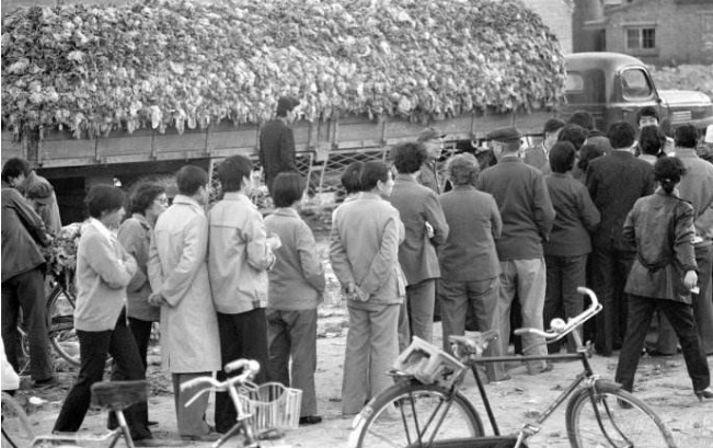 采访18岁的人,8090后的真实童年