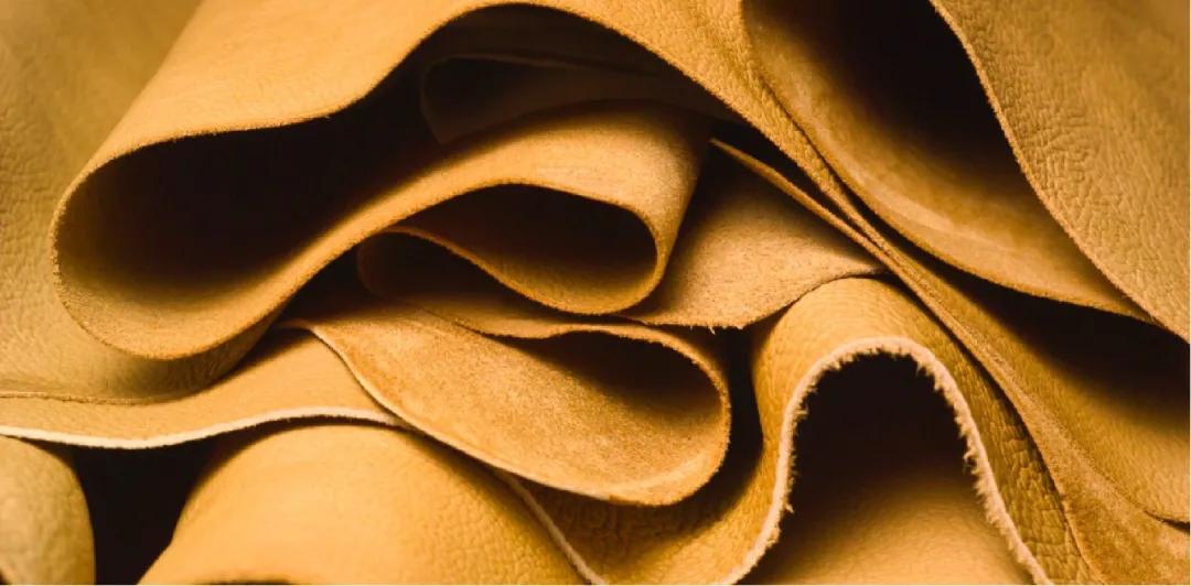 为什么好多人不认可品牌,为什么有的人在意品牌真假