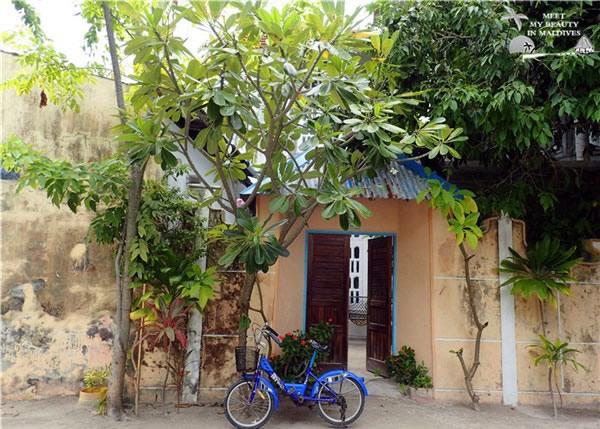 马尔代夫满月岛海钓,马尔代夫满月岛旅游攻略大全