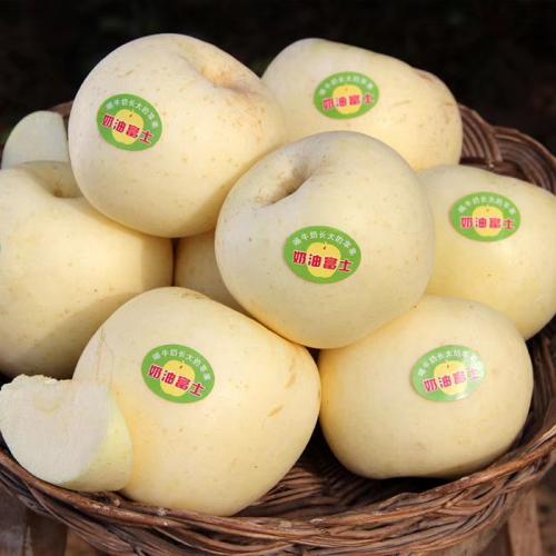 山东的水果特产,夏季山东地区可以吃的应季水果