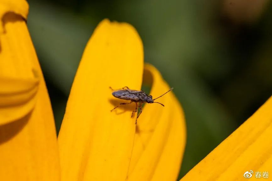 一镜多用的眼镜咋样,一镜多用多功能眼镜