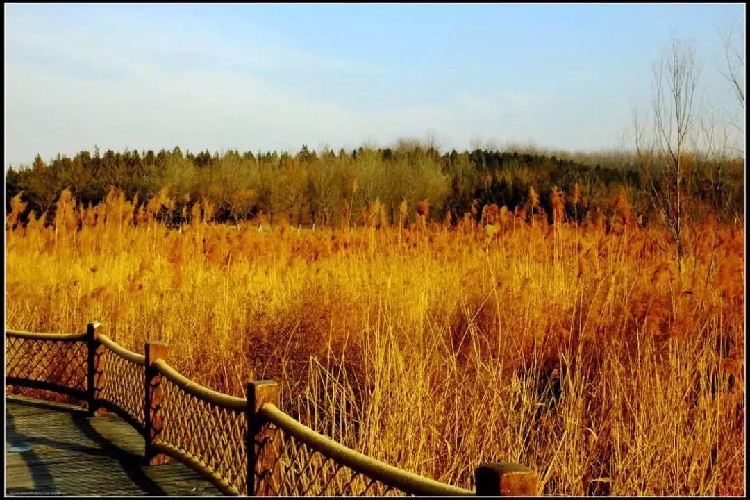家住在北京朝阳区有什么好 (北京朝阳区哪个地方适合居住)