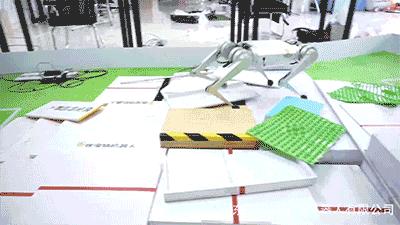 1万8元秋田犬出售,最新一代机器狗