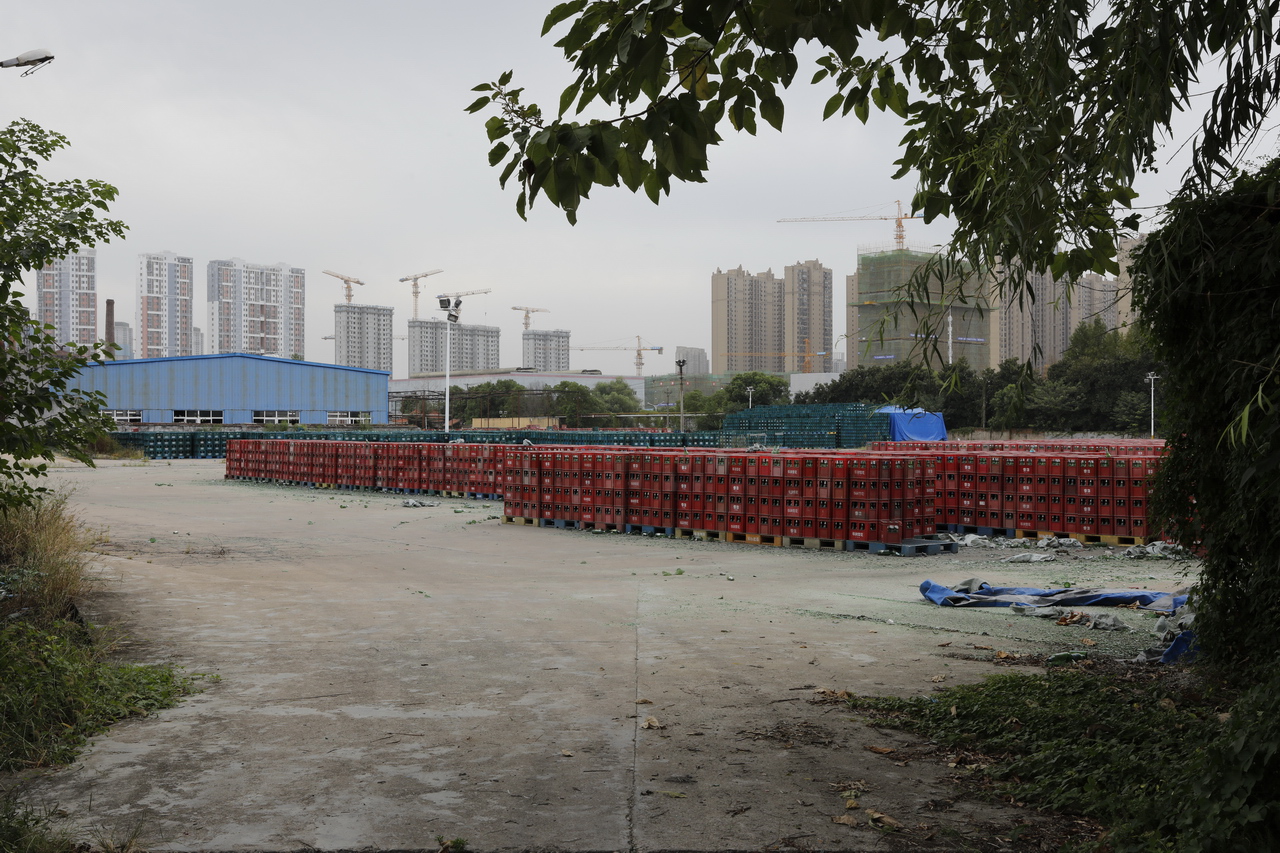 武汉东西湖产的雪花啤酒,东西湖雪花啤酒厂2015年