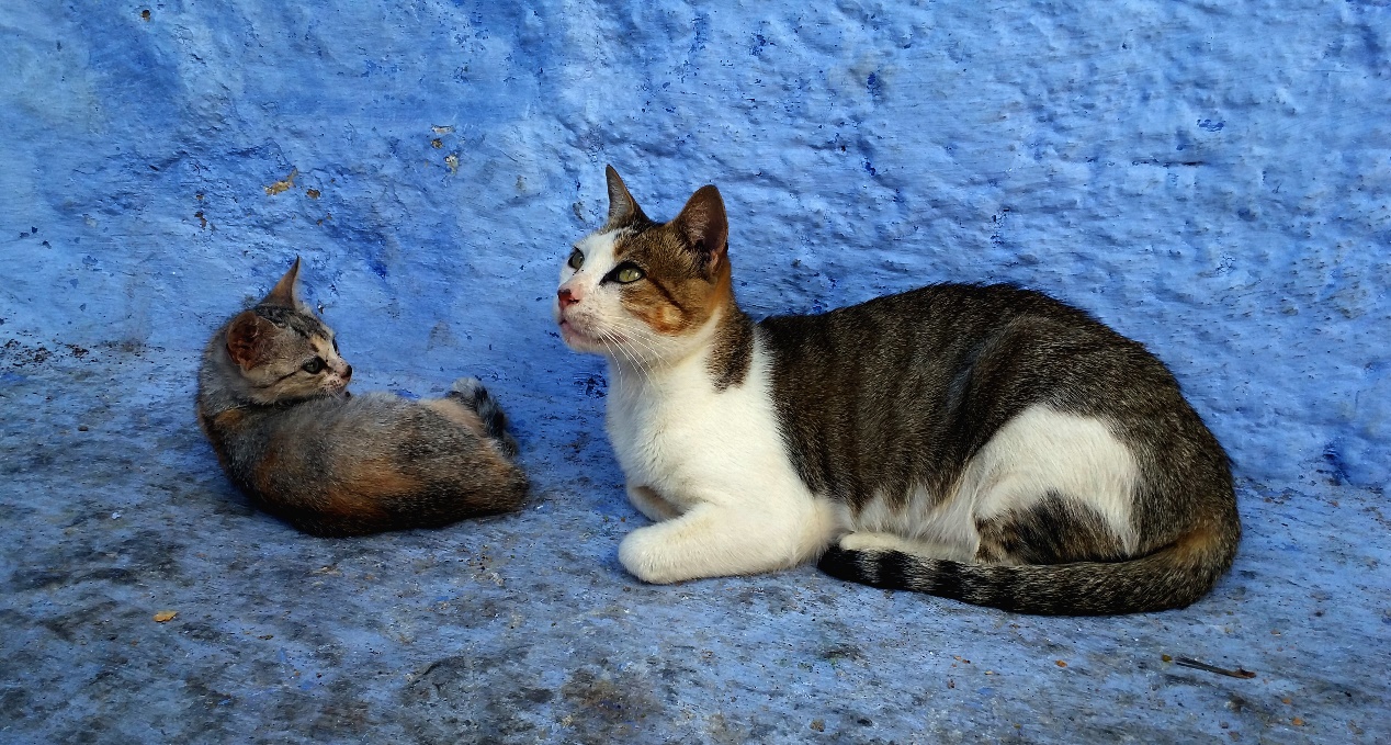 月入1.4万元：非洲90后导游工资翻同龄人4倍