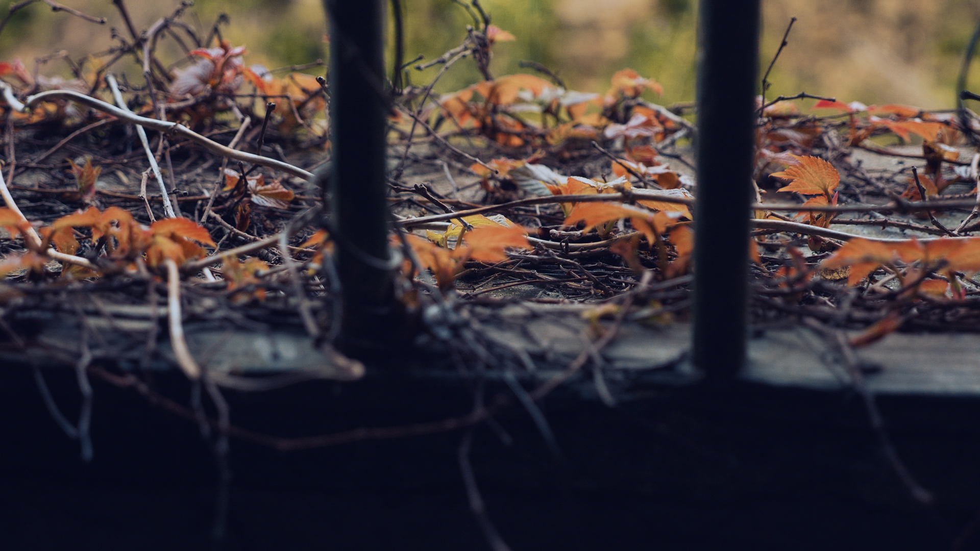 浙江嵊泗二日游,浙江嵊泗旅游攻略推荐