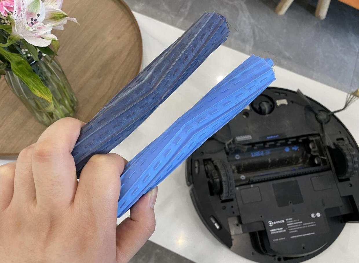 家有猫主的铲屎官,家有猫咪铲屎官