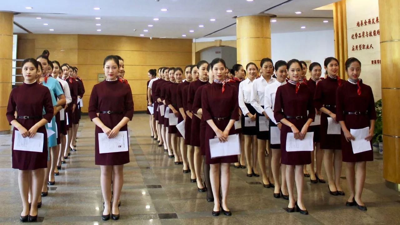 职场百科：收168000安置费！才能安排空姐空少？惊天套路