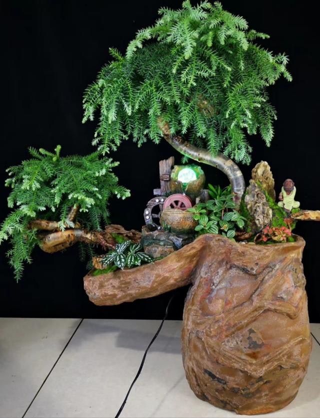 开业送什么植物花卉盆栽,店开业送什么盆栽植物大气