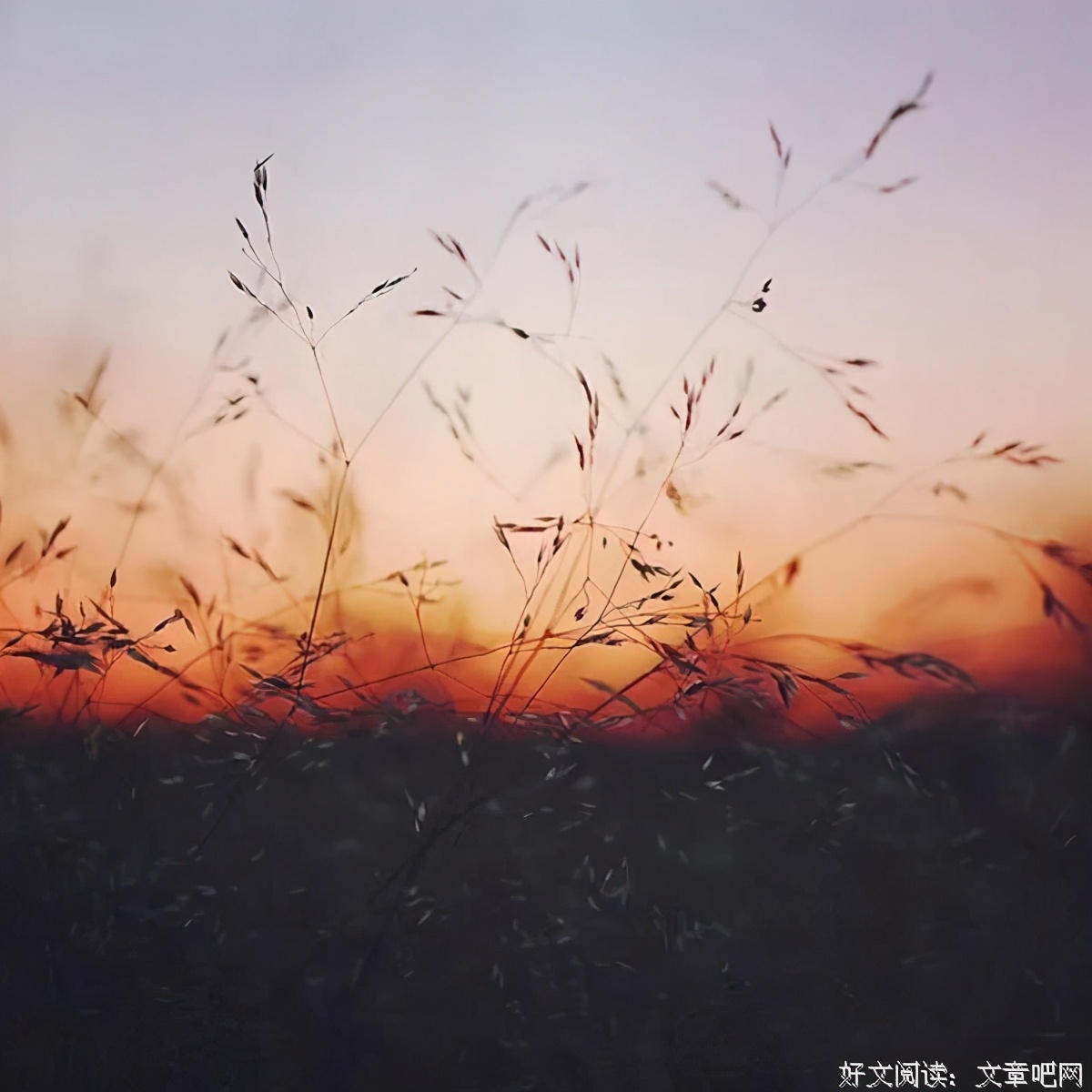 适合发朋友圈的45句人间绝句,人间绝句令人惊艳的诗句是什么