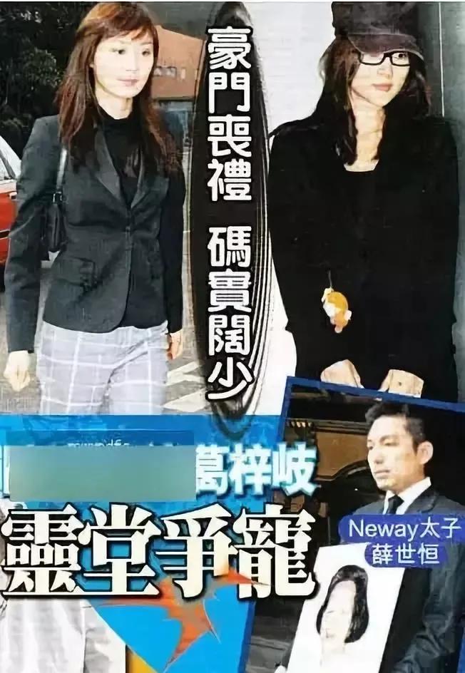 诸葛梓岐婚姻危机,诸葛梓岐豪门