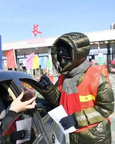 美丽迎春花开了,迎春花盛开的绝美春日盛景