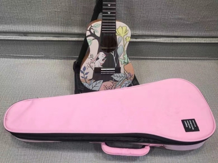 一个没钱的吉他爱好者聊聊他弹过的十几把吉他