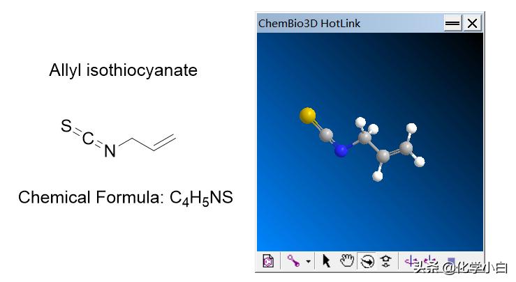 无辣不欢？“热”辣与“冷”辣——辣椒素VS异硫氰酸烯丙酯