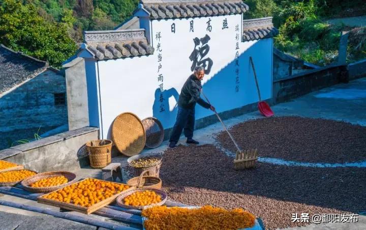 遇见美丽水乡,鄱阳鄱阳湖