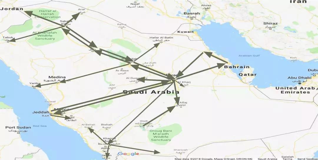 沙特2020跨境电商,2021年跨境电商有前景吗