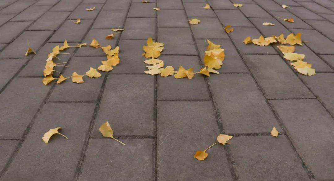 醉美大工秋|读书不觉已秋深，____________