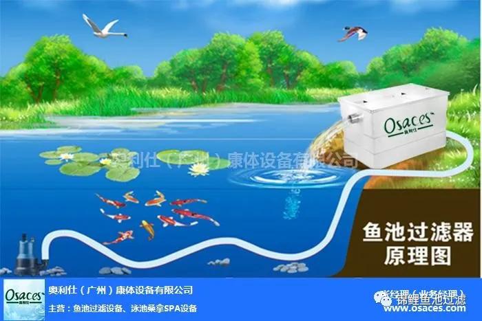 养锦鲤必备的一款鱼池过滤器,锦鲤鱼池过滤器自制方法