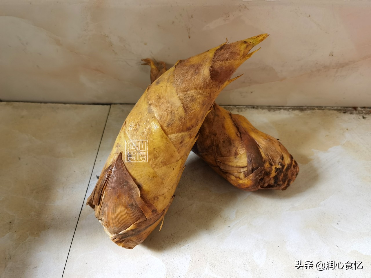 冬笋炒咸菜冬笋要不要焯水,冬笋炖鸡冬笋用不用先焯水