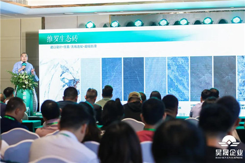 维罗生态砖整装,维罗生态砖品牌优势