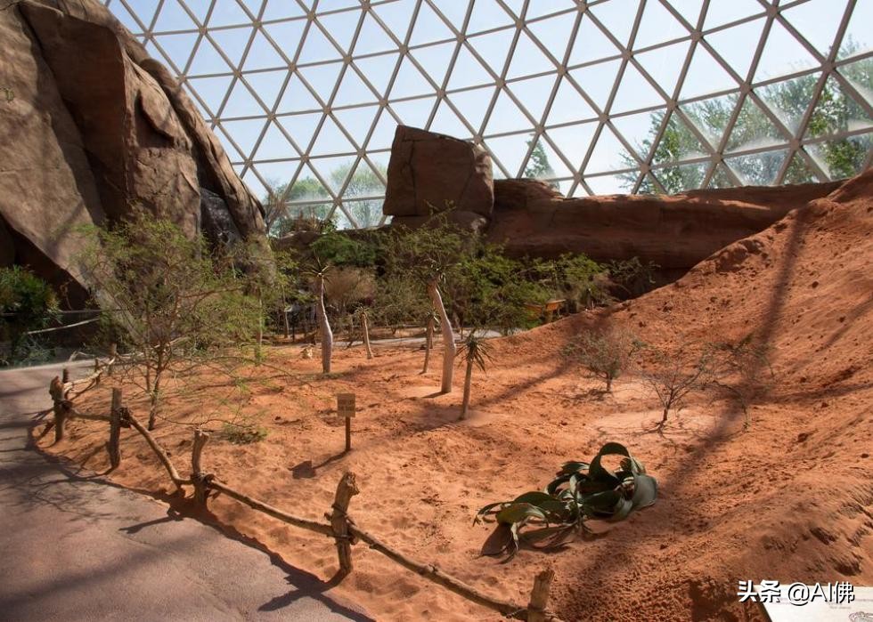 美国西部旅游必去景点推荐,美国东部值得去的景点排名