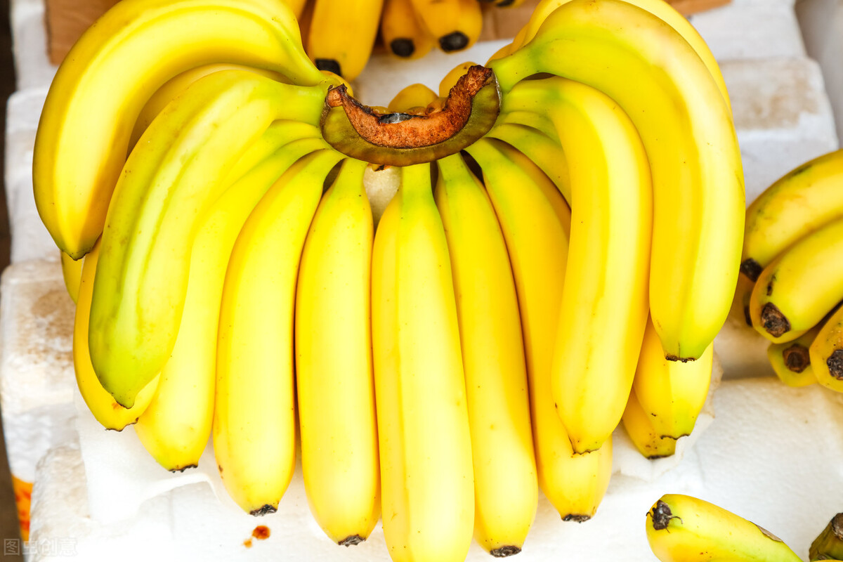 香蕉3块一斤赚钱吗,10元五斤的香蕉可以挣多少