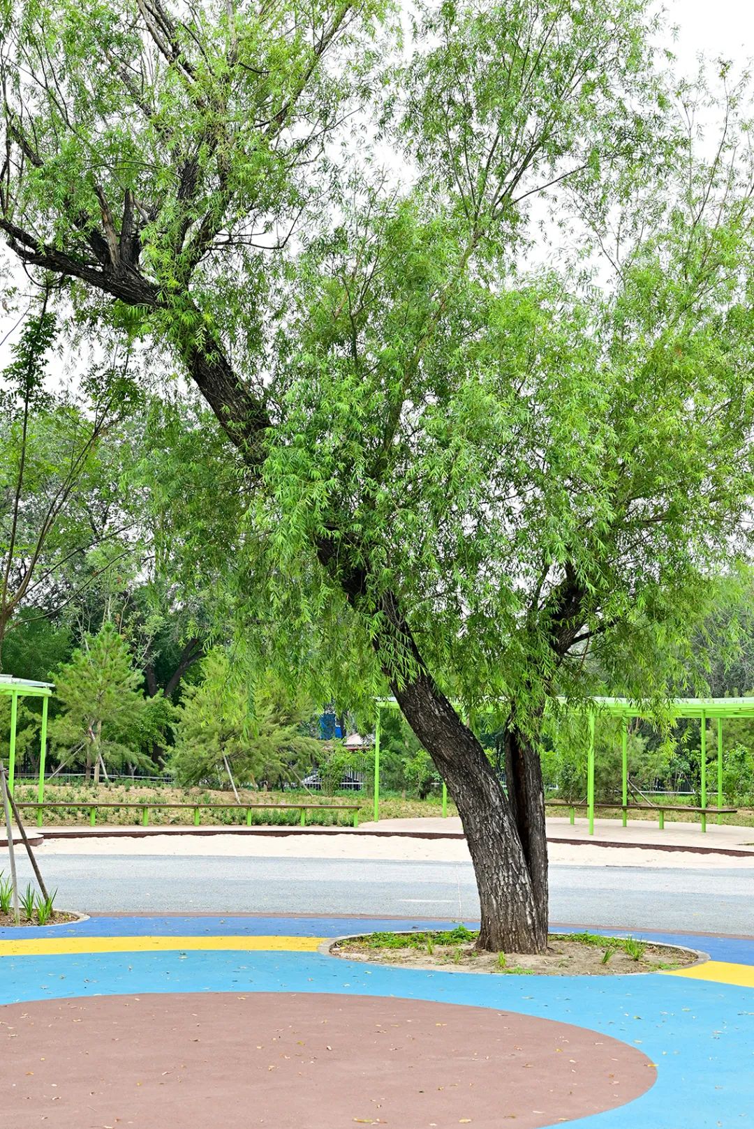 海淀区即将开放的公园,海淀新建的公园