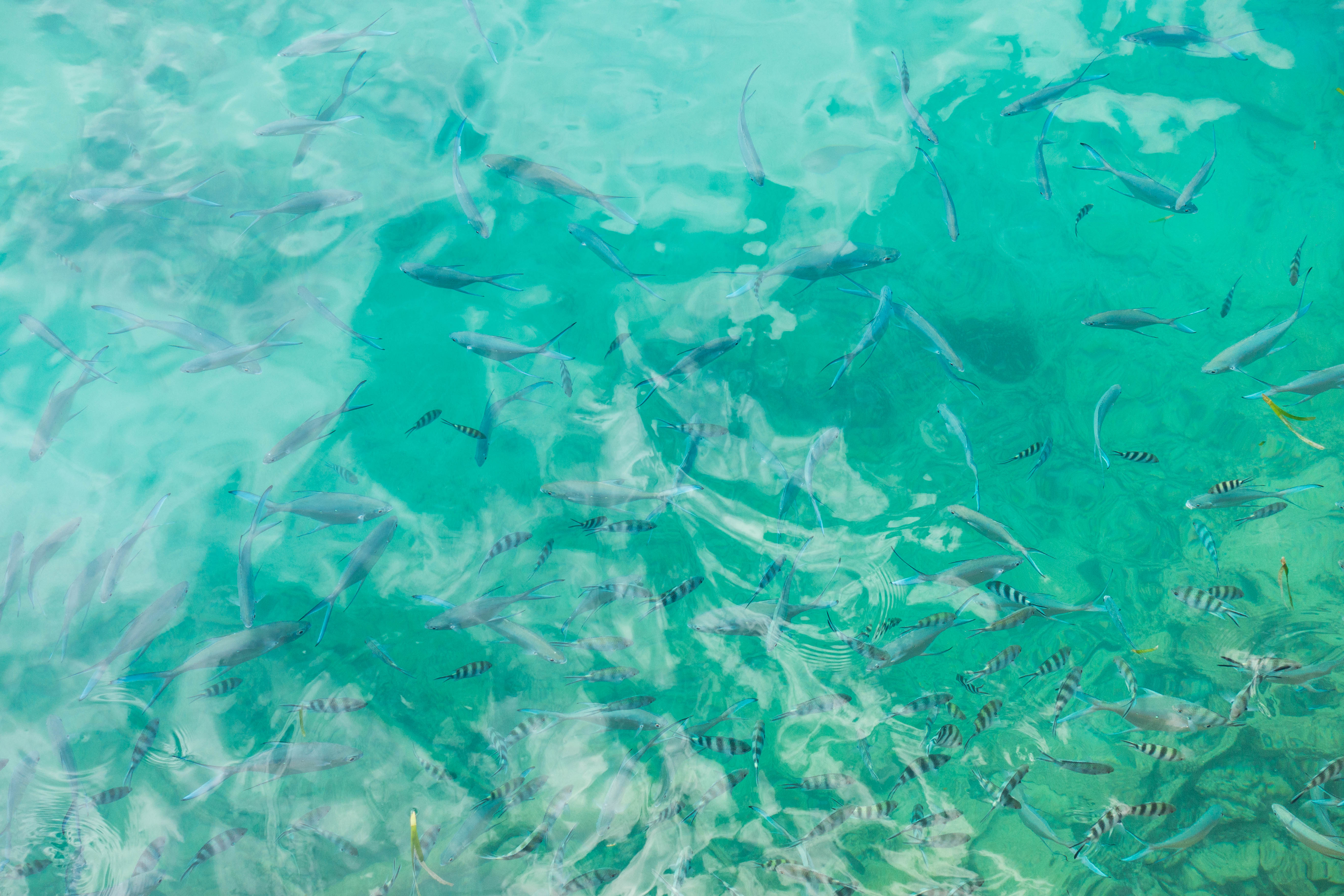 塞舌尔12天自助游攻略,塞舌尔旅行攻略