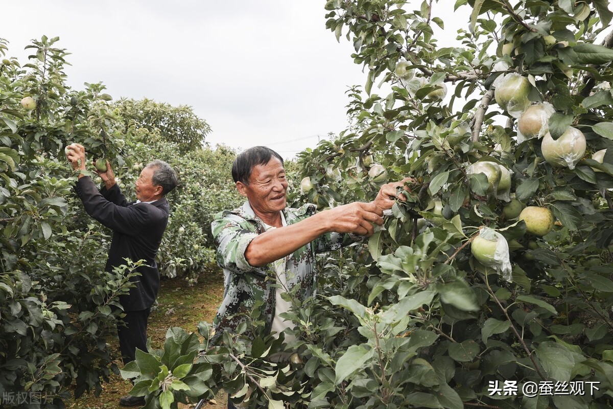 江苏连云港沿海城市吗,江苏连云港是怎样的城市