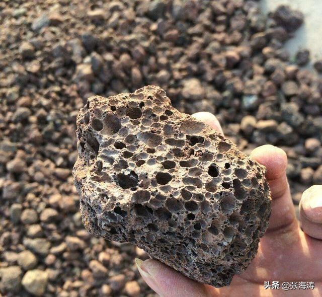 兰花种植什么样的风化石最好,兰花风化石种植技术