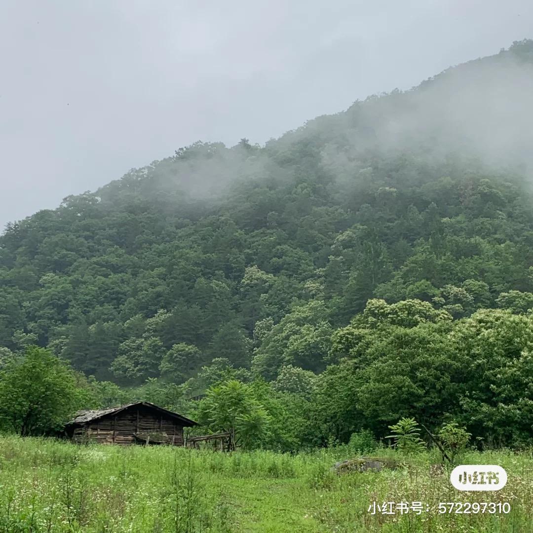 一起爬山吗?西安这些山不仅野,还不要钱~