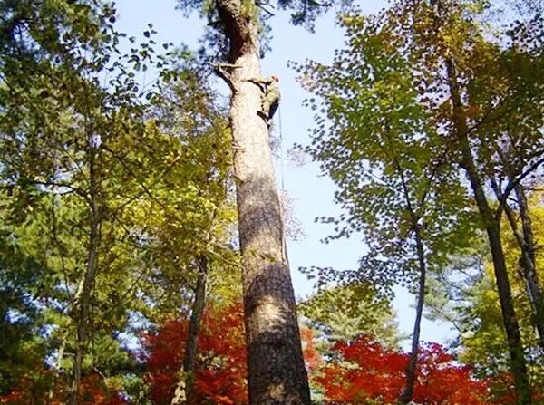 秋季去哪里？约上三五好友，一起来延边探寻山间野味！