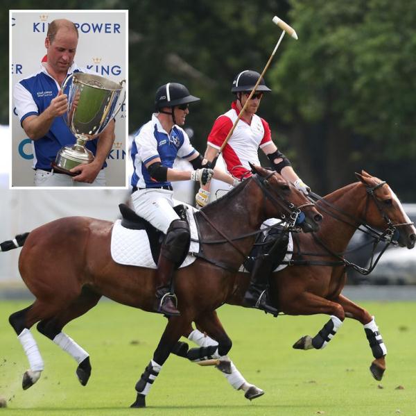 凯特梅根新动态,梅根凯特合体