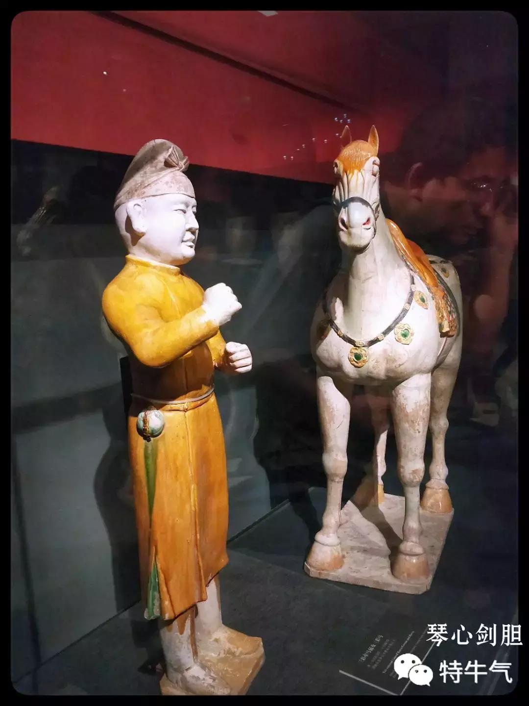 赤金走龙陕西历史博物馆,陕西历史博物馆抢票攻略