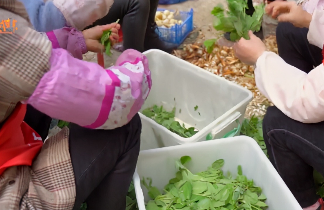 云南省哪里的牛肉火锅最好吃,云南特色牛肉火锅