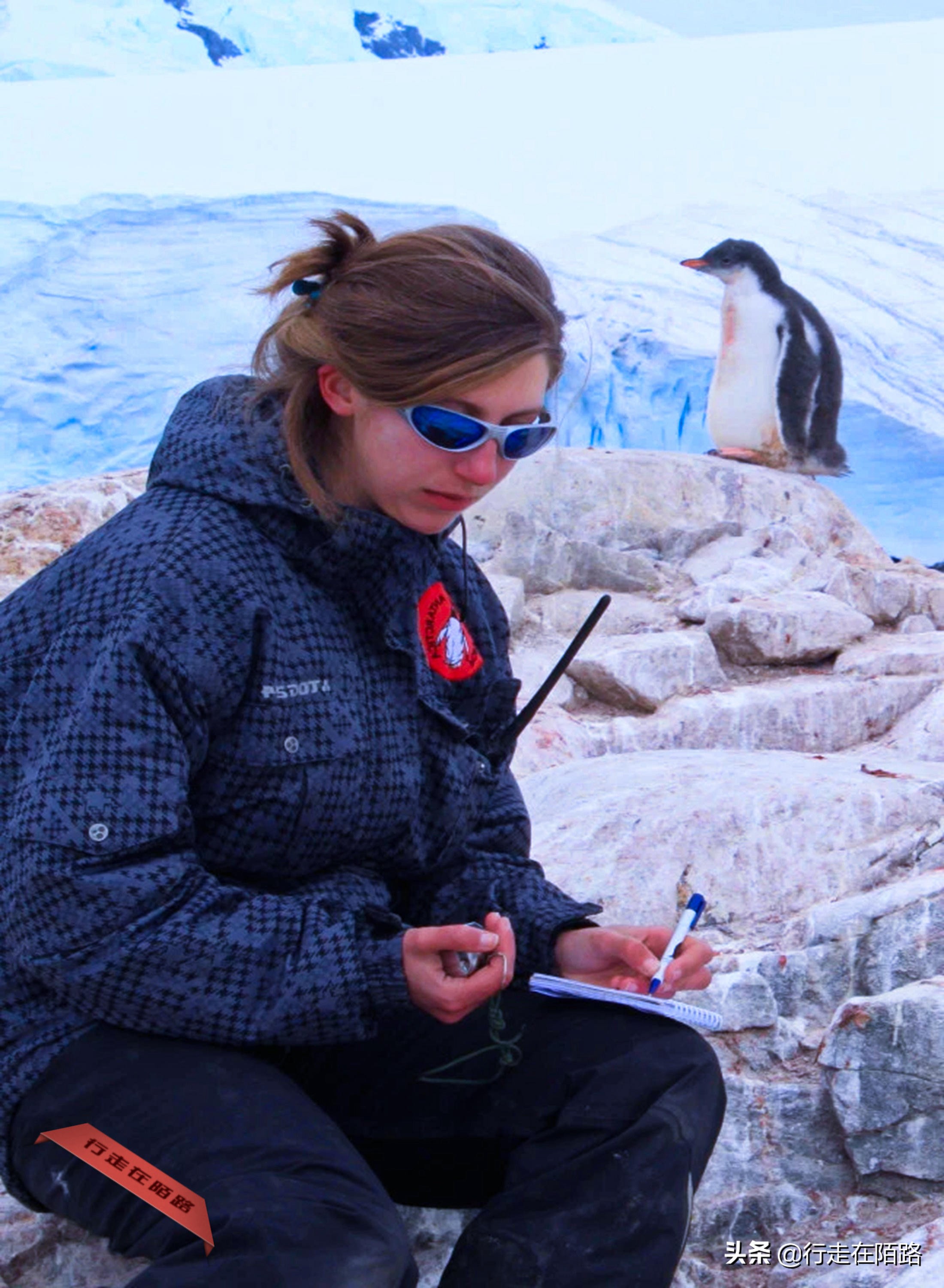 铲屎官的工资,铲屎官工资一天多少钱