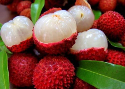 常见荔枝的区别与口感,荔枝是籽小的好还是籽大好