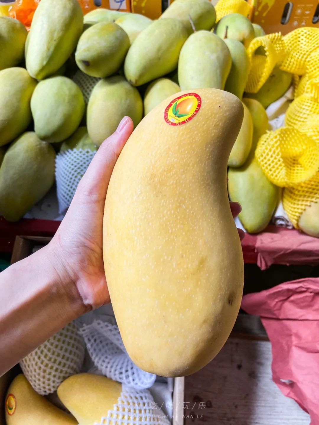 地铁坐到水果市场附近,广州天平架水果市场