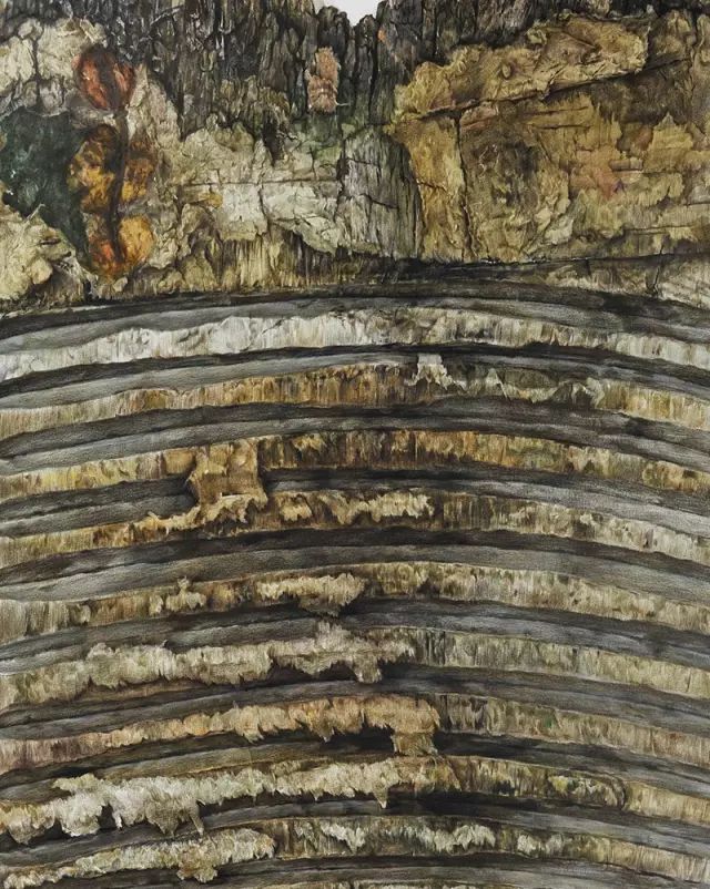 央美精微素描高清图片,央美精微素描多少分