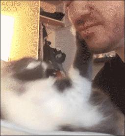 铲屎官别怕猫咪来保护你,猫咪对铲屎官的占有欲