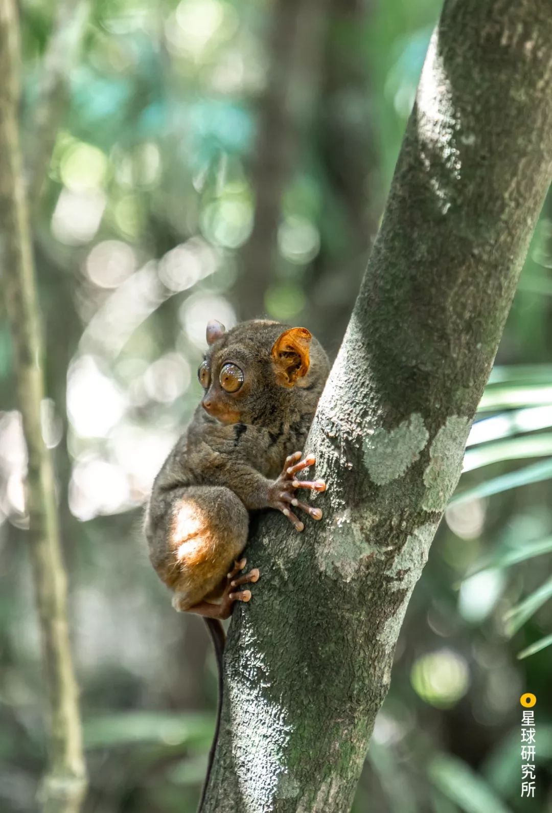 菲律宾的主岛,菲律宾岛屿旅游