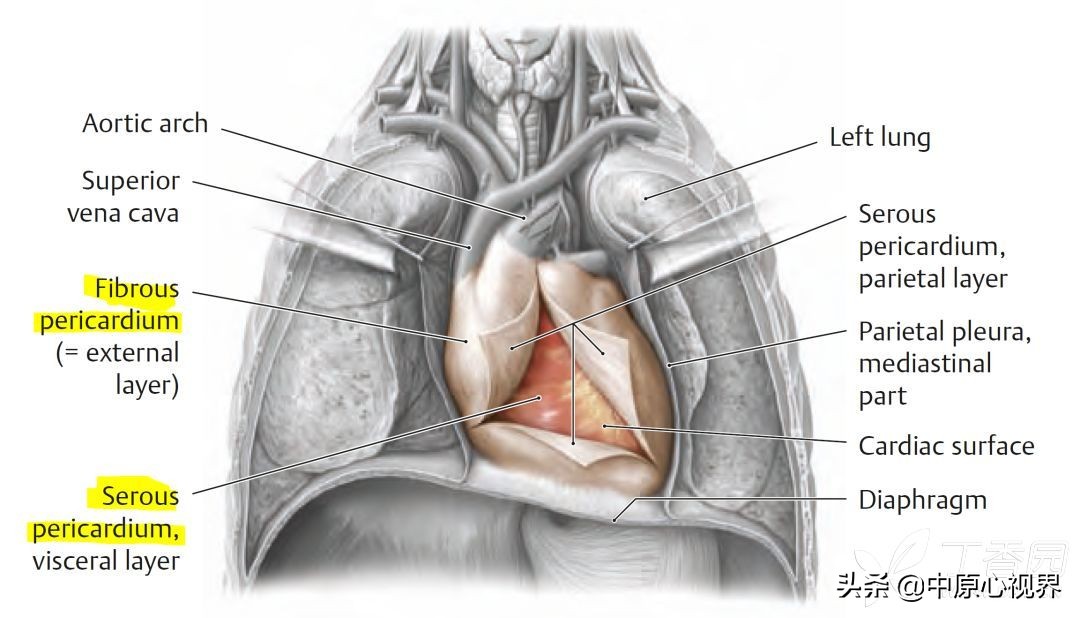 蹇冭剰瑙ｅ墫瀹為獙,蹇冭剰瑙ｅ墫鎵嬫湳