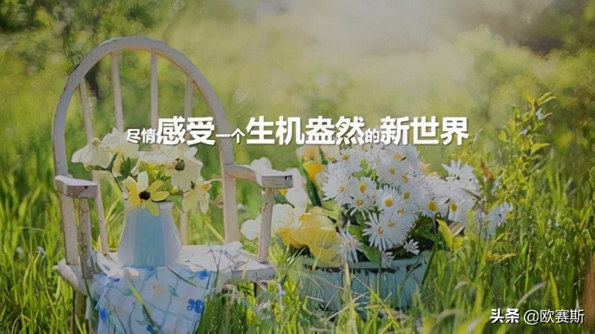 鍝佺墝鎴樼暐宸ュ叿,鍝佺墝鎴樼暐涓冪姝﹀櫒