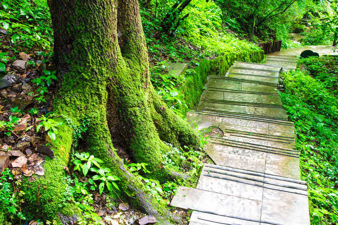 四川古蜀寻芳之幻梦朝天游玩攻略,都江堰古蜀寻芳