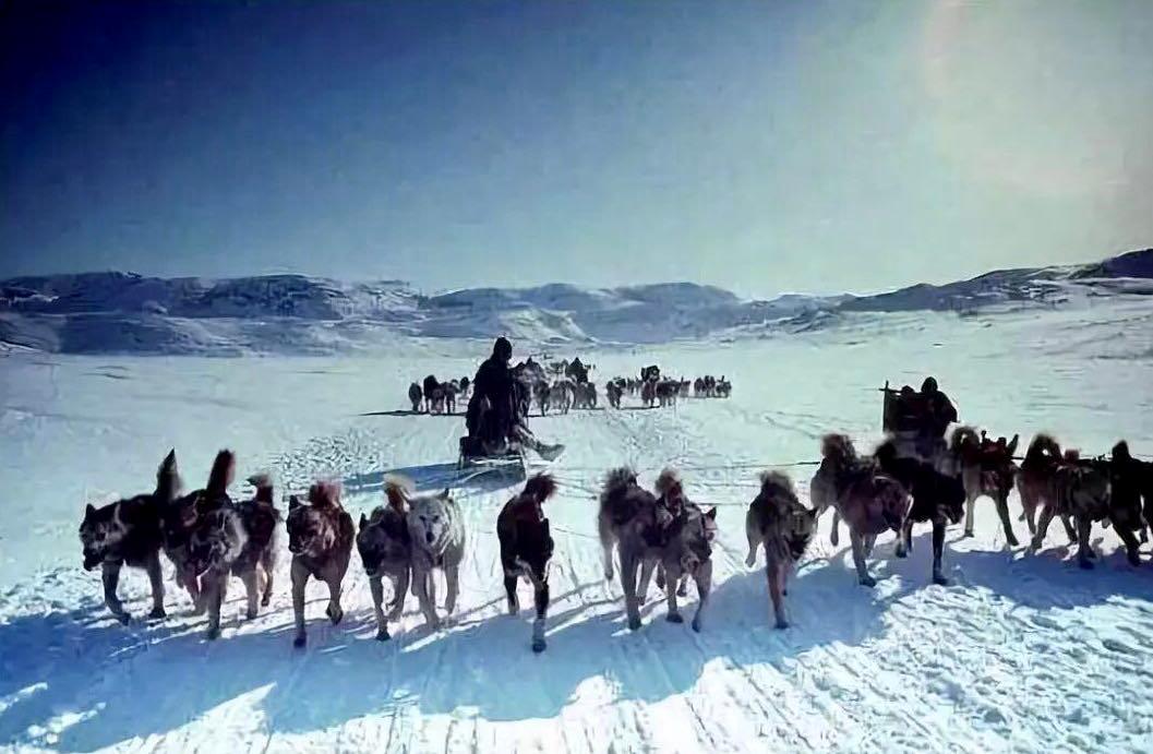 爱斯基摩人有哪些奇异之处,爱斯基摩人的奇异之处