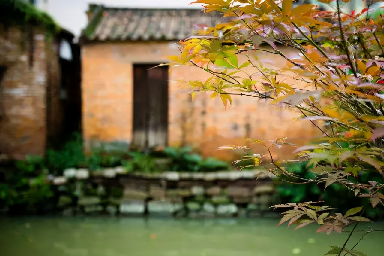 讲真，我嫉妒顺德人