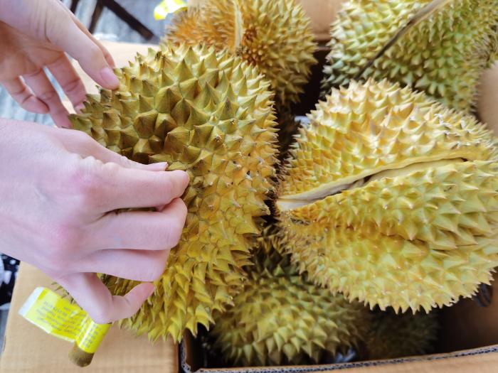 买榴莲要诀,水果店老板告诉你榴莲怎么挑选