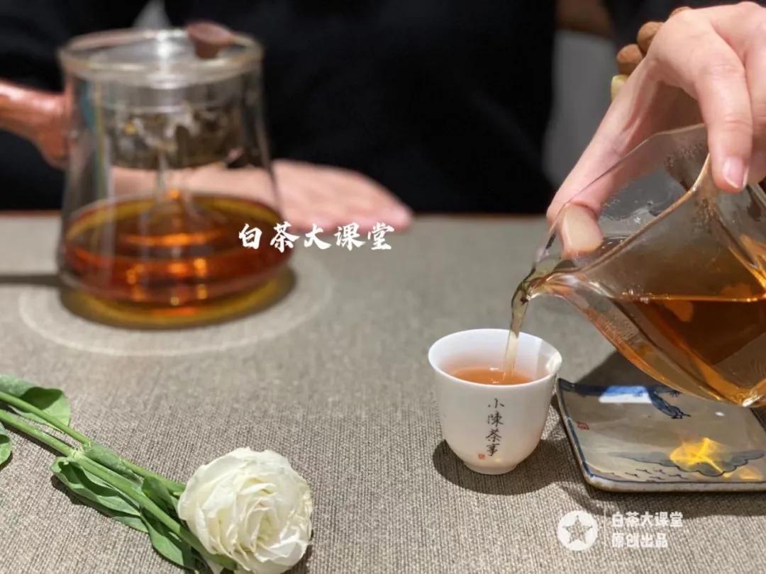 为什么白茶煮出来会苦,为什么白茶泡着不好喝焖好喝