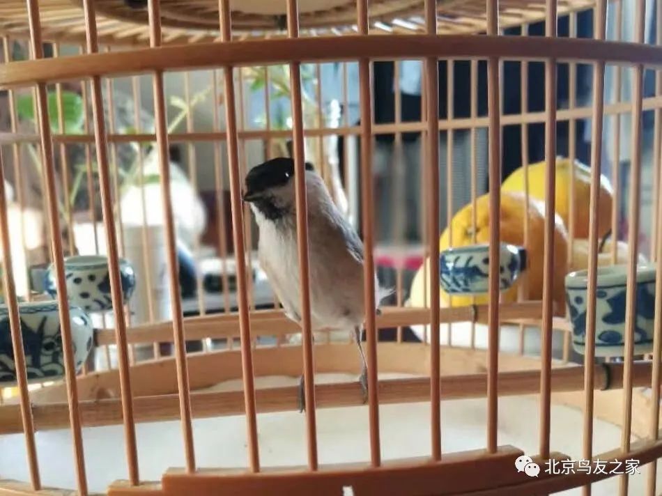 细谈聊天的学问,细聊a股短线卖点问题