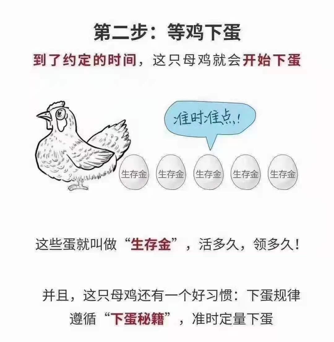 理财怎么买比较安全可靠,理财险购买攻略哪个保险公司可靠